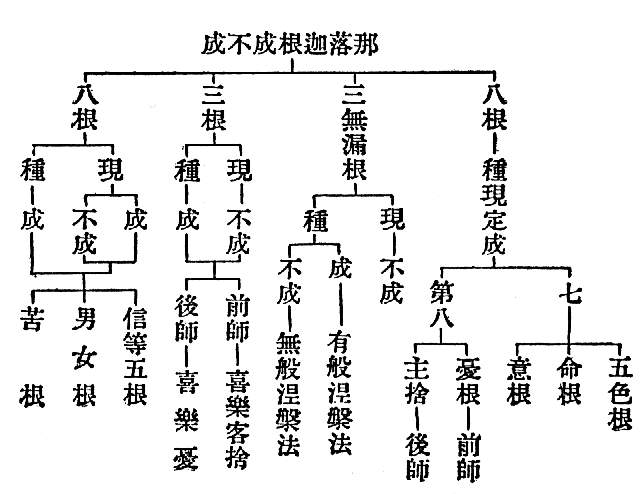  五色根