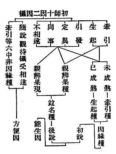  攝因二因十師初　牽引　未成熟-牽引種