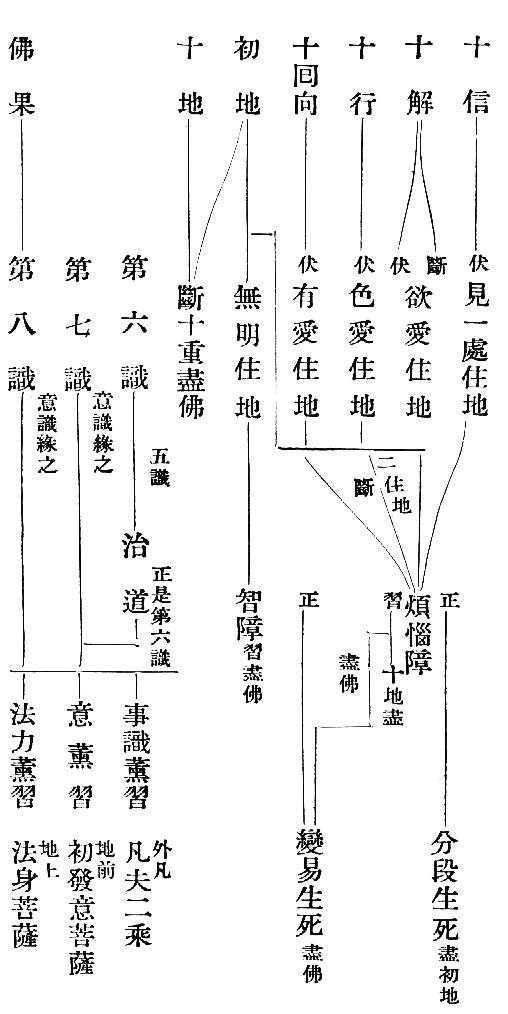 十　信　(伏)見一處住地　　正　分段生死(盡初地)